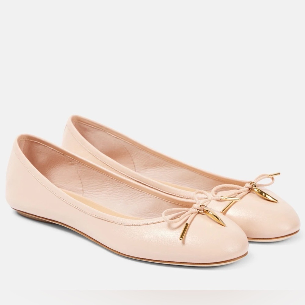 Chloé Iris leather ballet flats. Pink Blush. Size 41
New in Box. Authentic